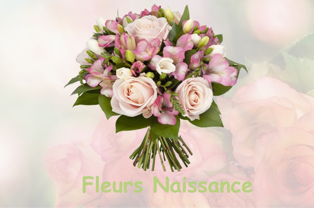 fleurs naissance CHAMPAGNOLE